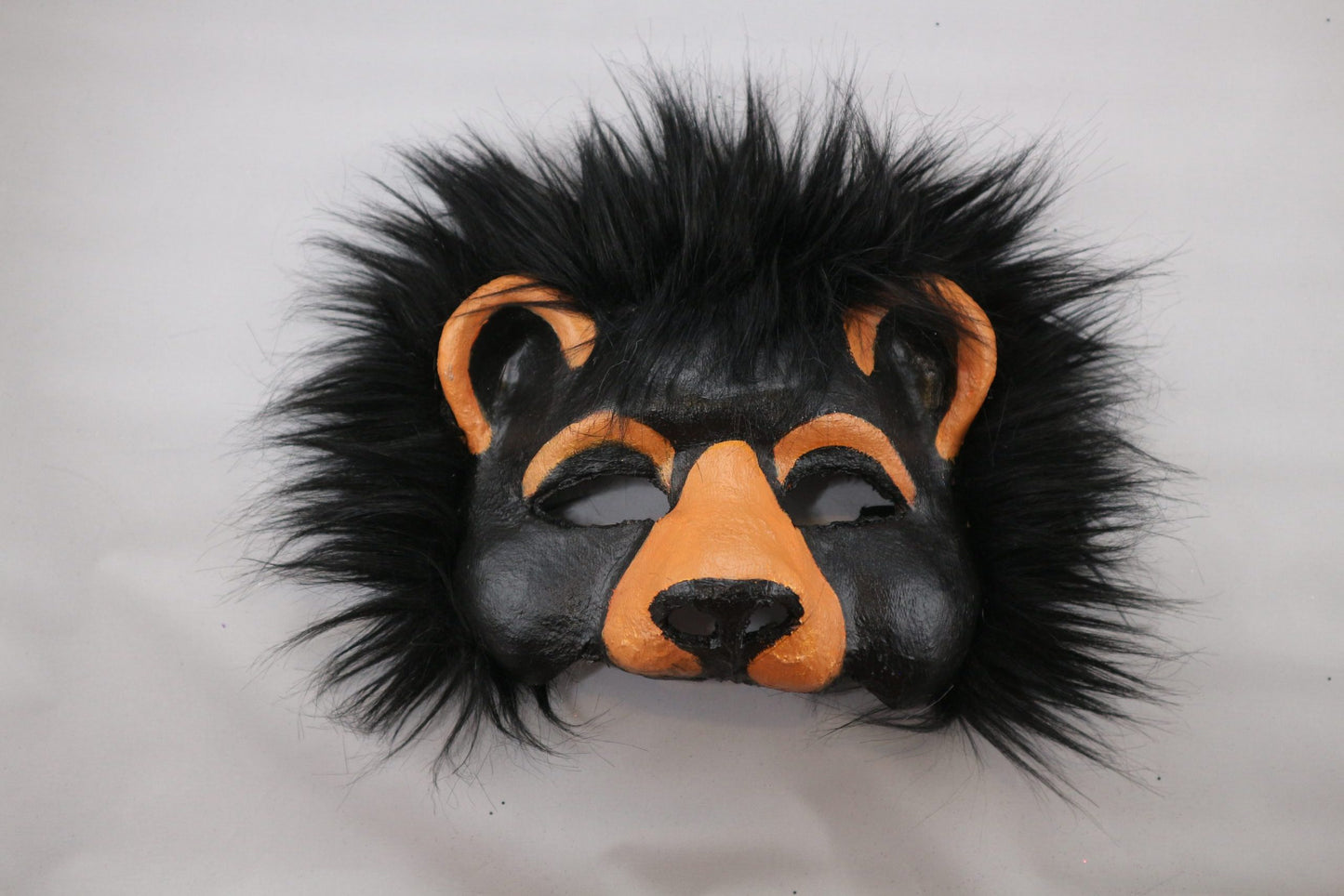 Black Bear image 1