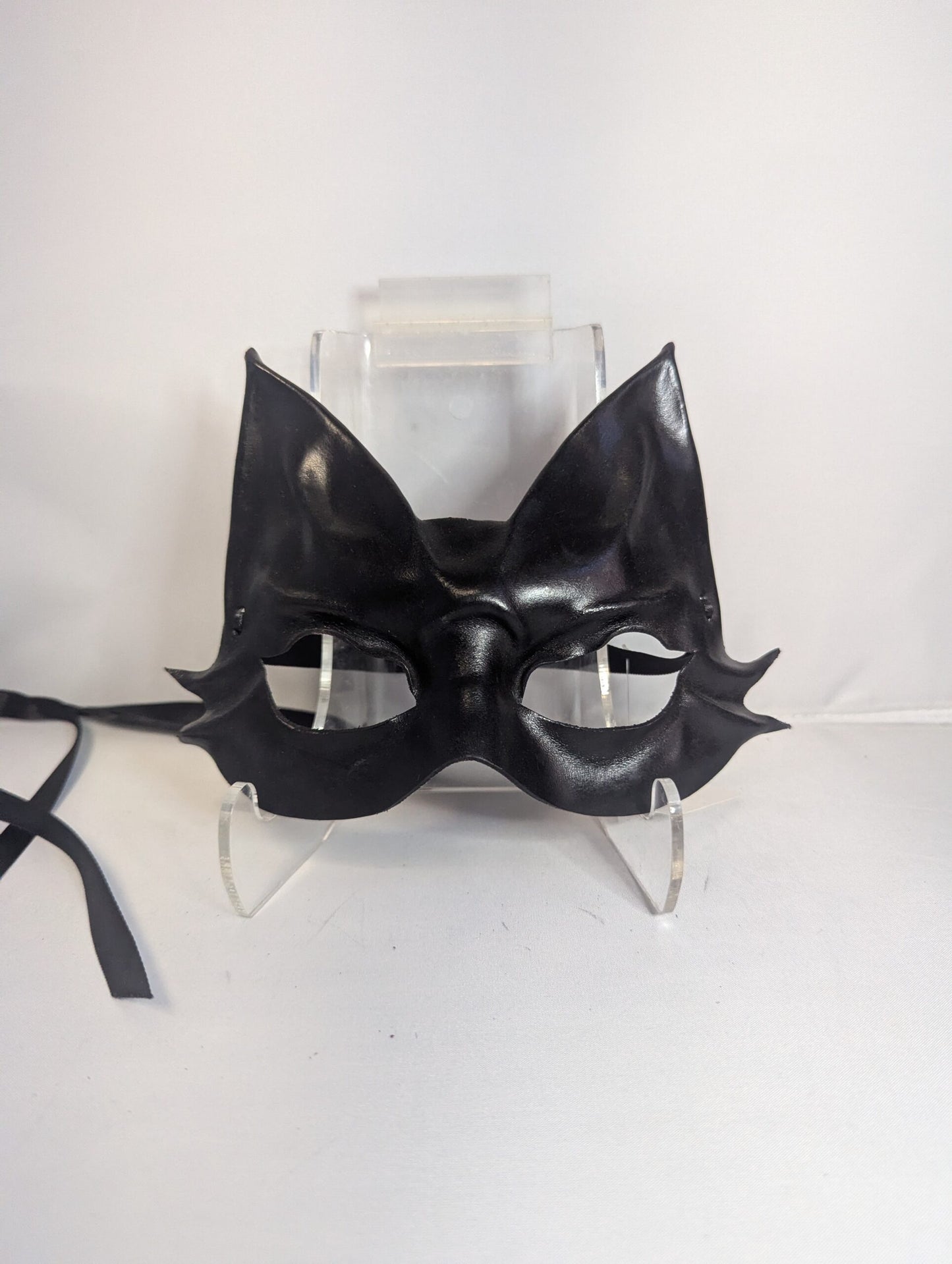 Black cat image 0