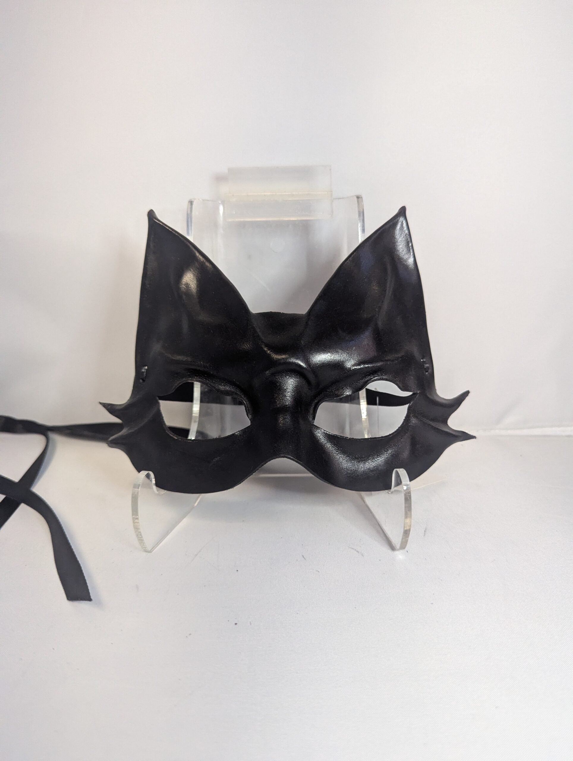 Black cat image 0