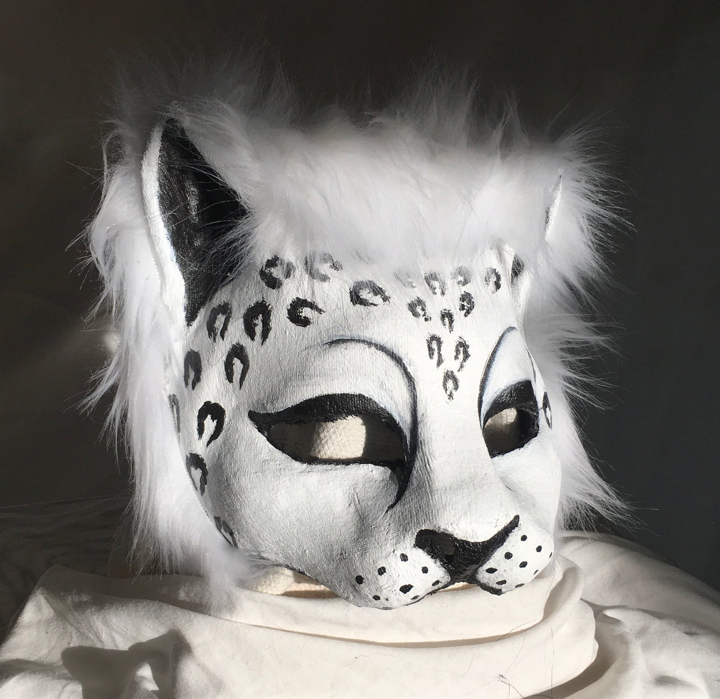Snow Leopard image 0