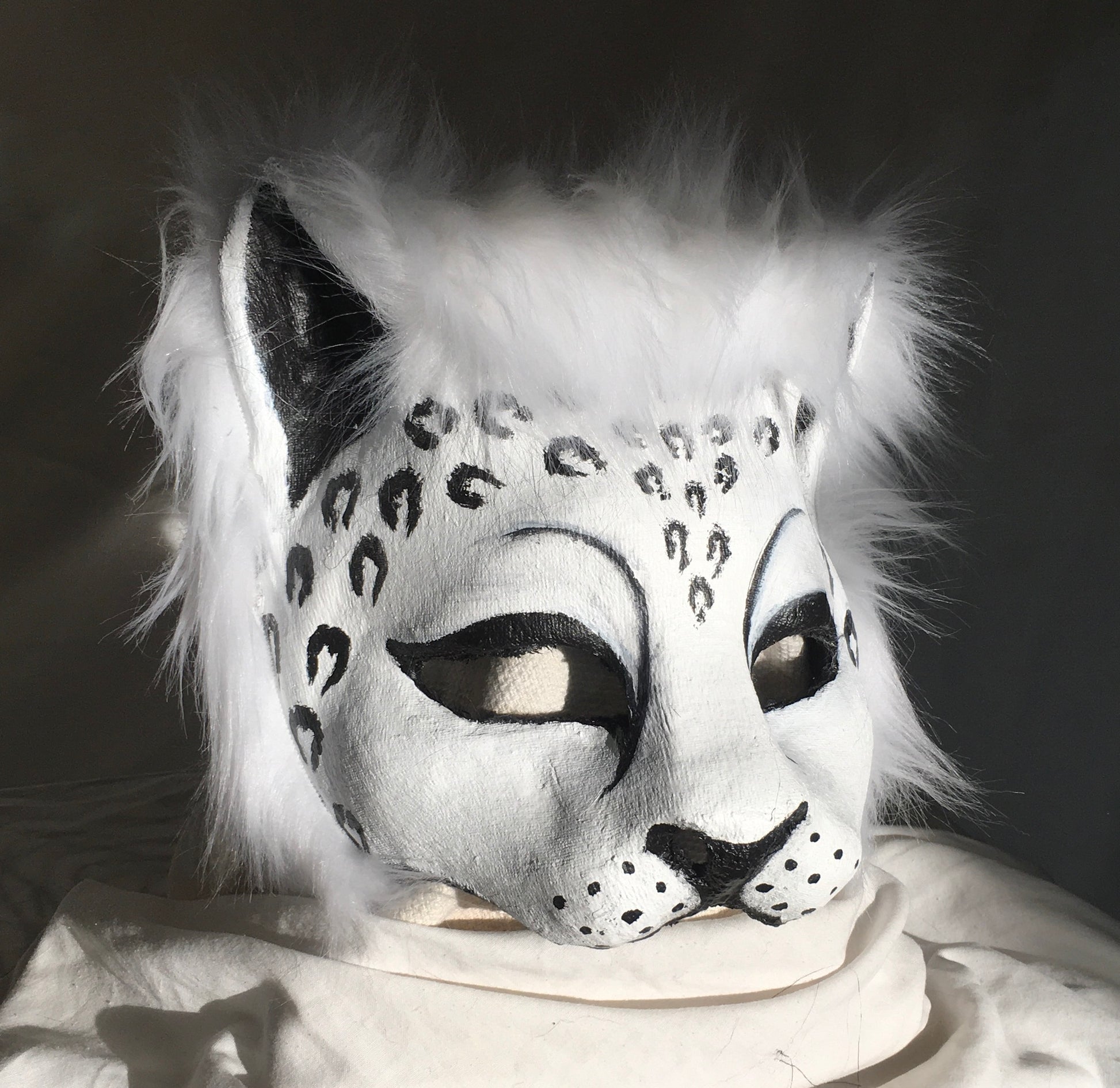 Snow Leopard image 0