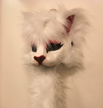 Cat with tail image 1
